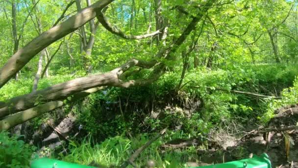 Pov Operating Small Green Tractor Pick Bucket Full Dirt Heavily — Stockvideo