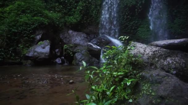 Close Shot Rocks Plants Moss Splashing Waterfall Background — Stock videók