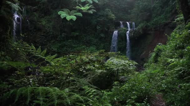 Wide Shot Falling Waterfall Surrounded Deep Flora Fauna Jungle Asia — Video Stock