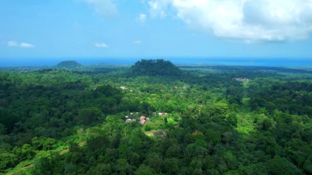 Aerial Magnificent View Forest Sao Tome Africa — Stock Video