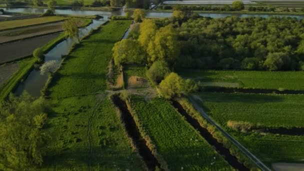 Aerial View Swamp Sunset Clairmarais France River Distance Fields All — 图库视频影像