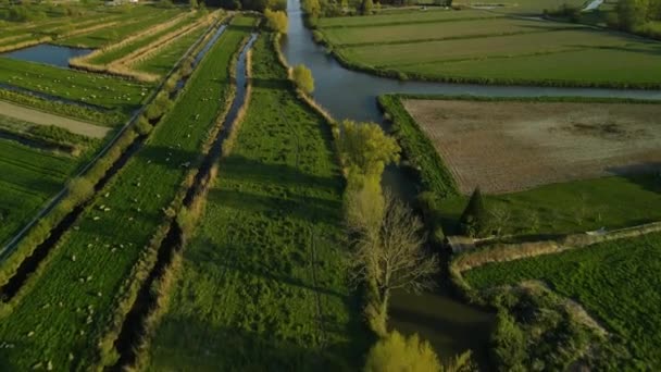 Aerial View Swamp Clairmarais France Can See Fields Both Sides — Stock videók