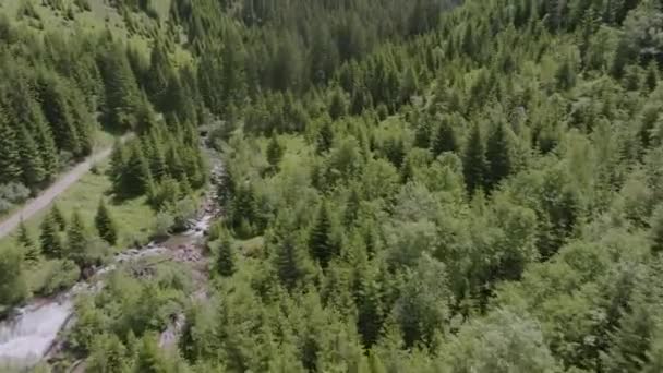 Paisaje Del Bosque Volador Aéreo Montañas Río Que Fluye Entre — Vídeo de stock