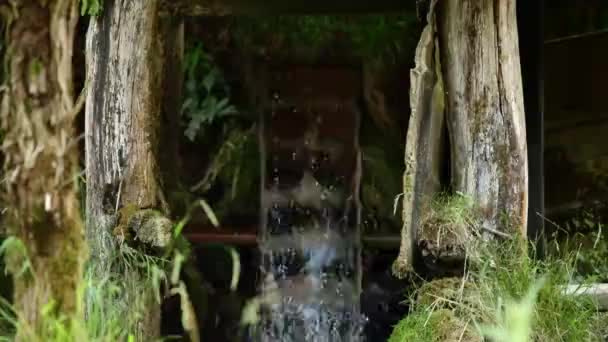 Water Moving Wheel Water Mill — Stock video