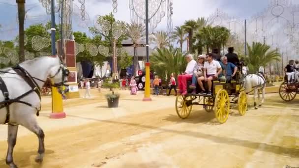 Jerez Frontera Horse Fair People Ride Carriages Sunny Day — Wideo stockowe