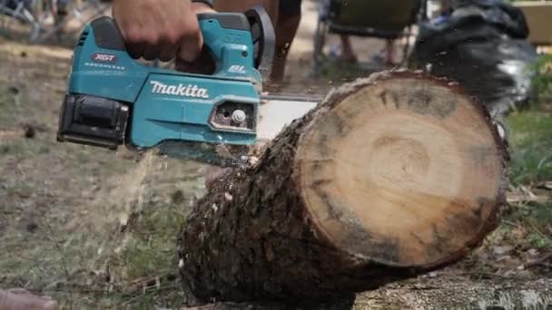 Cut Log Electric Saw Slow Motion — Stock videók