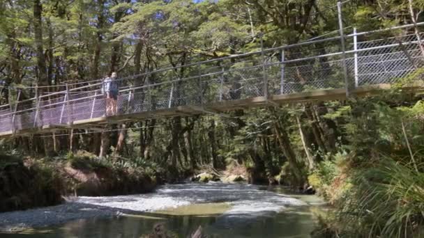Pan Female Hiker Crosses Bridge Dry Creek Bed Routeburn Track — ストック動画