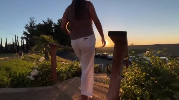 Young Woman Walks Wooden Steps Winery Vineyard Garden Sunset — Stockvideo