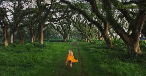 Блондинка Оранжевом Шифонном Платье Бежит Волшебному Лесу Джаватан — стоковое видео