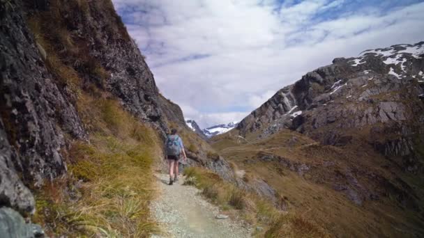 Pan Női Túrázó Sétál Alpesi Táj Routeburn Pálya Zéland — Stock videók