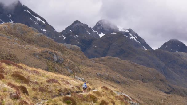 Static Solo Female Hiker Crosses Exposed Alpine Pass Routeburn Track — Vídeo de Stock