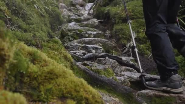 Inclinado Hacia Arriba Excursionista Sube Escalones Rocosos Húmedos Bosque Musgo — Vídeos de Stock