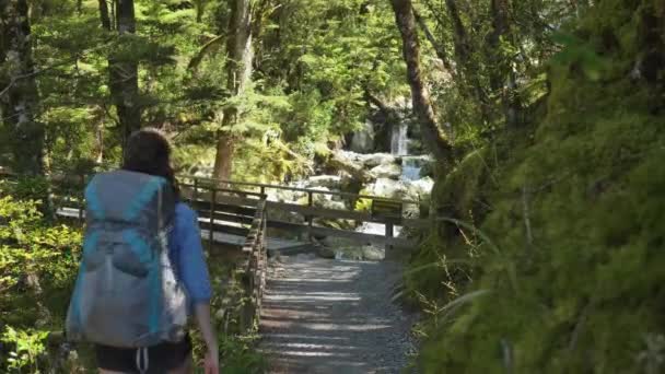 Slider Female Hiker Approaches Bridge Tranquil Stream Routeburn Track New — стокове відео