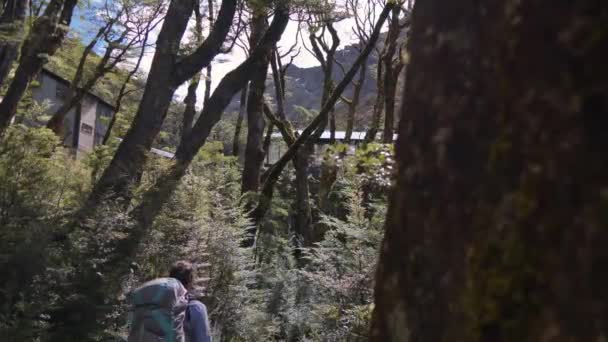 Slider Revealing Hiker Arriving Hidden Forest Shelter Routeburn Track New — ストック動画
