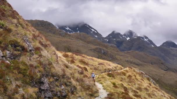 Pan Hiker Crosses Exposed Alpine Pass Routeburn Track New Zealand — 图库视频影像