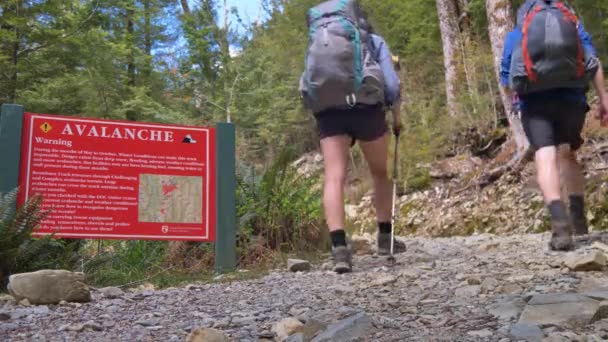 Static Hikers Walk Avalanche Warning Sign Routeburn Track New Zealand — Stock videók