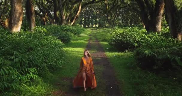 Attractive Blond Model Orange Chiffon Dress Walks Dreamy Forest Djawatan — Αρχείο Βίντεο