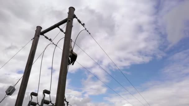 Deceased Stork Hanging Electrical Wires Sky Background Low Angle — Stockvideo