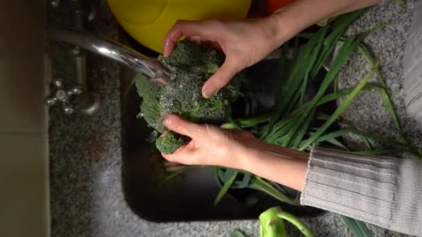 Vertical Shot Person Washing Broccoli Vegetables Kitchen Sink High Angle — Stockvideo