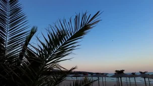 Time Lapse Sunset Varne Beach Bulgaria — Stock Video