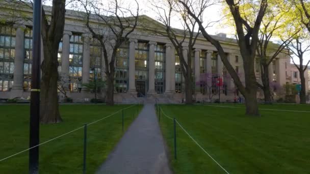 Harvard Law School Library First Person Pov Spring Day — стокове відео