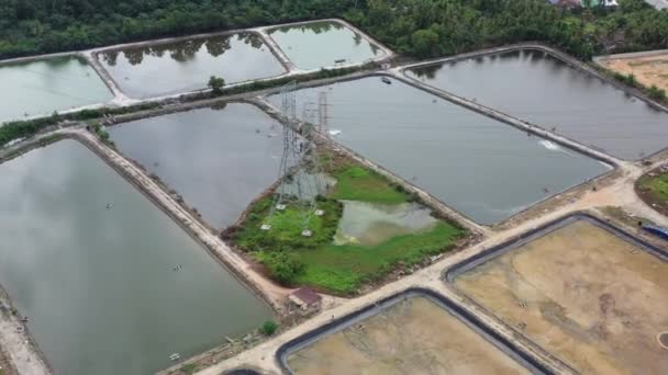 Outdoor Aquaculture Farming Controlled Facility Transmission Tower Center Next Residential — Video Stock