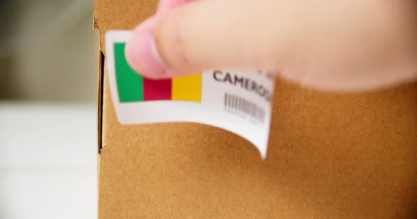 Hands Applying Made Cameroon Flag Label Shipping Cardboard Box Products — стокове відео