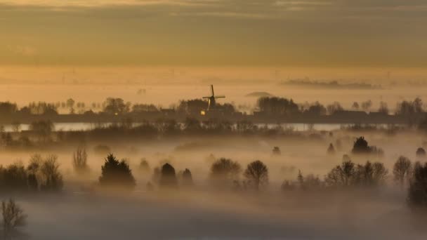 Sunrise Aerial View Misty Landscape Trees Dutch Windmill — Vídeo de Stock