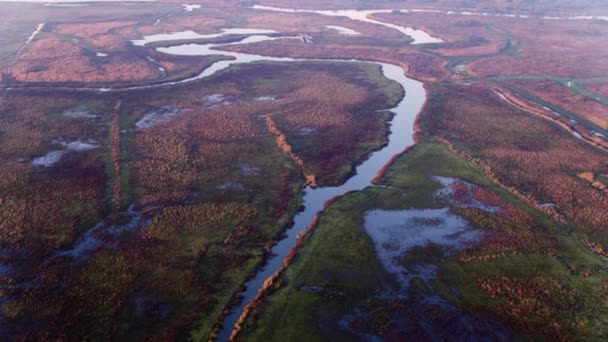 Scenic River Delta Misty Reddish Reed Flooded Farmlands — Stockvideo
