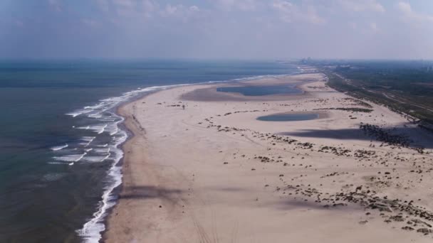Aerial View Sand Engine Zandmotor Netherlands Coastline — Stockvideo