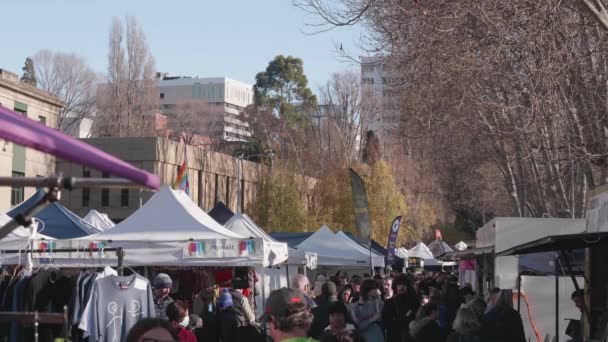 View Tourists Shopping Viewing Stalls Iconic Salamanca Market Hobart Tasmania — Video Stock