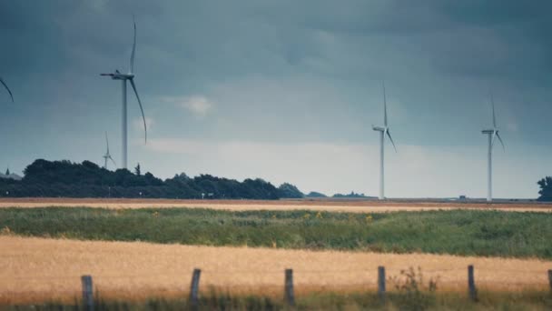 Row Wind Turbines Wheat Fields Slow Motion Pan Follow — Wideo stockowe
