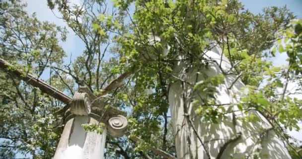 Detail Shot Some Vegetation Ancient Columns Villa Lysis Island Capri – Stock-video