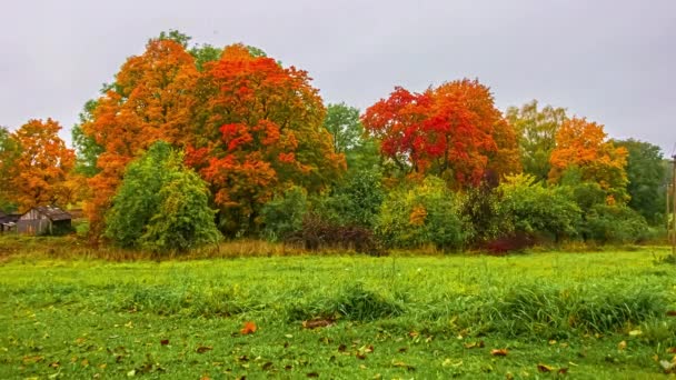 Everchanging Autumn Spring Climatic Temperatures Timelapse — Stockvideo