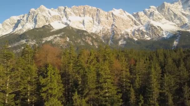 Aerial View Rising Alpine Woodland Trees View Majestic Snowy Zugspitze — Stockvideo
