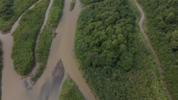 Revealing Aerial Footage Costa Rica Wetlands Meet Central Pacific Shore — Stok video