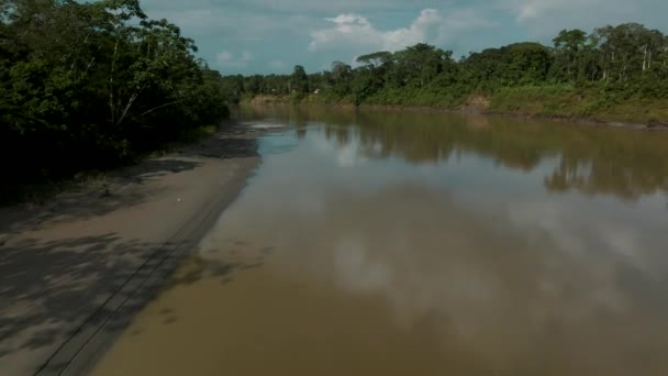 Flying Calm River Amazon Jungle Dense Thicket Summertime Aerial Drone — Stockvideo