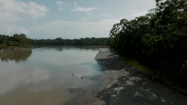 Fly Shallow River Sandbank Jungle Ecuador Amazon Aerial Drone Shot — Vídeos de Stock