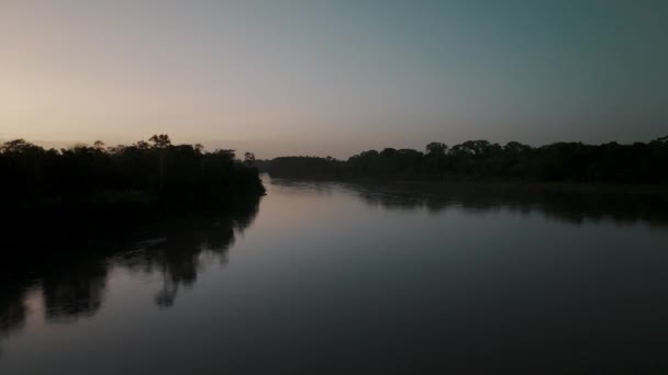 Serenity Nature Silhouettes Jungle River Amazon Ecuador Aerial Drone Shot — Stockvideo