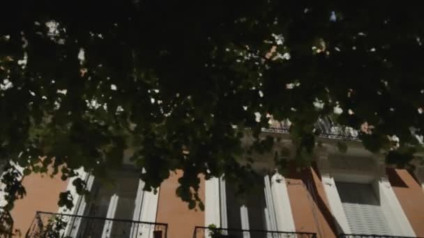 マドリードの木の葉の後ろの建物の窓 低角度表示 — ストック動画