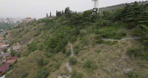Plan Mystérieux Sombre Drone Incliné Vers Haut Monument Mère Géorgie — Video