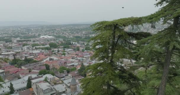Aerial Dolly Shot Trees Revealing Tbilisi Cityscape — Stock video