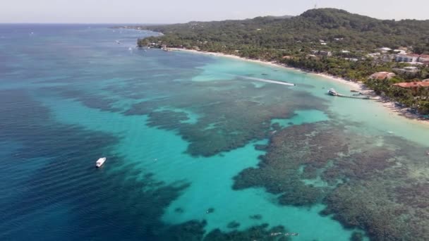 Zdjęcia Dronów Tropikalnego Raju Roatan — Wideo stockowe