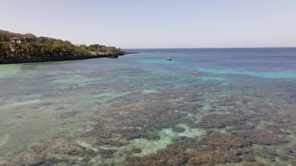 Nagranie Dronów Pięknej Wyspy Roatan Honduras Rafy Koralowe — Wideo stockowe