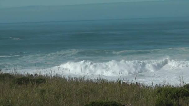 Shot Jetski Pushing Big Wave Surfer Ride Massive Wave Nazare — Vídeos de Stock