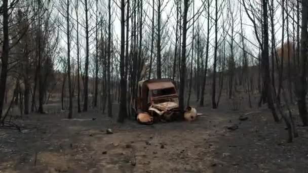 Orman Yangınından Sonra Terk Edilmiş Yanmış Eski Bir Arabanın Dramatik — Stok video