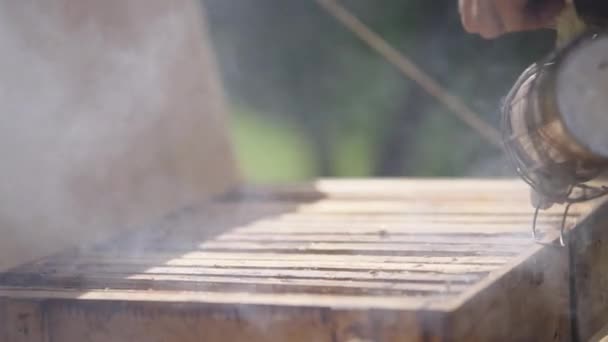 Apiarist Biodlare Arbetare Pumping Bee Smoker Tool Wooden Bee Hive — Stockvideo