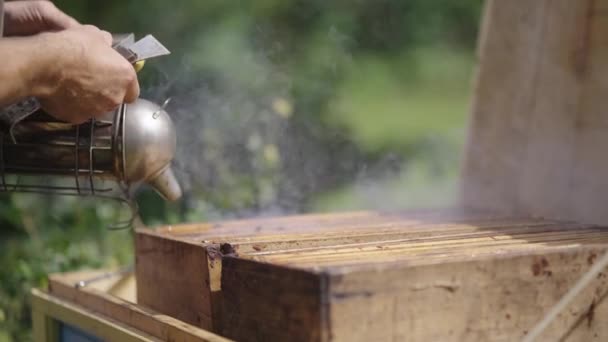 Slow Motion View Apiculture Traditional Beekeeper Smoking Wooden Bee Hive — Stockvideo