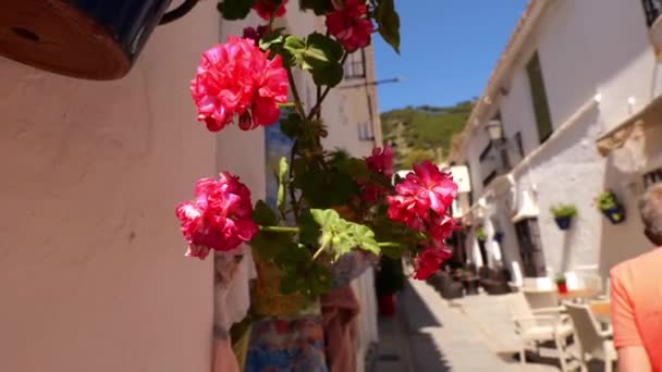 Red Roses Hanging Basket Narrow Street White Facade Houses Spanish — Stock Video