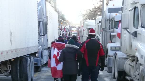 Des Canadiens Avec Des Drapeaux Marchent Entre Des Camions Pendant — Video